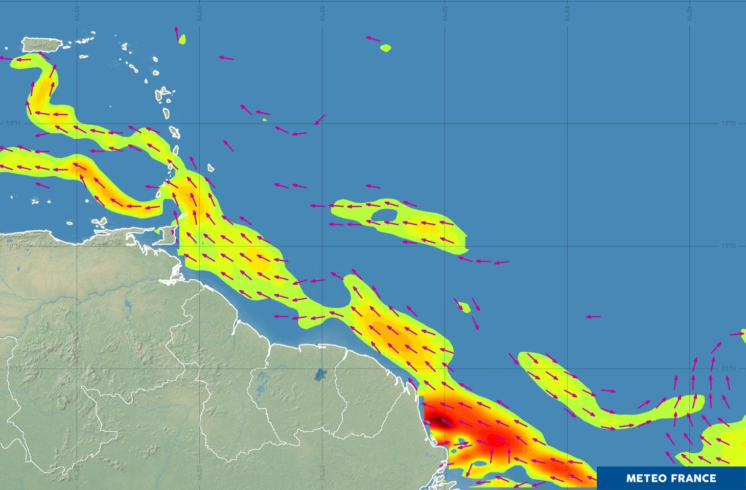 Courant Moyen de surface 24h - Courant des Guyanes