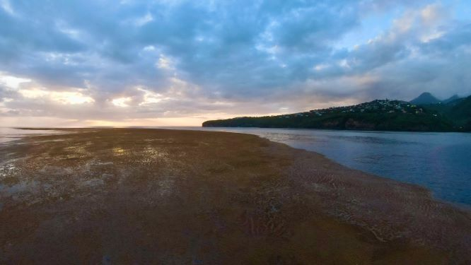 Gros banc de sargasses - Diamant - Martinique _ Photo de Rémi Vila