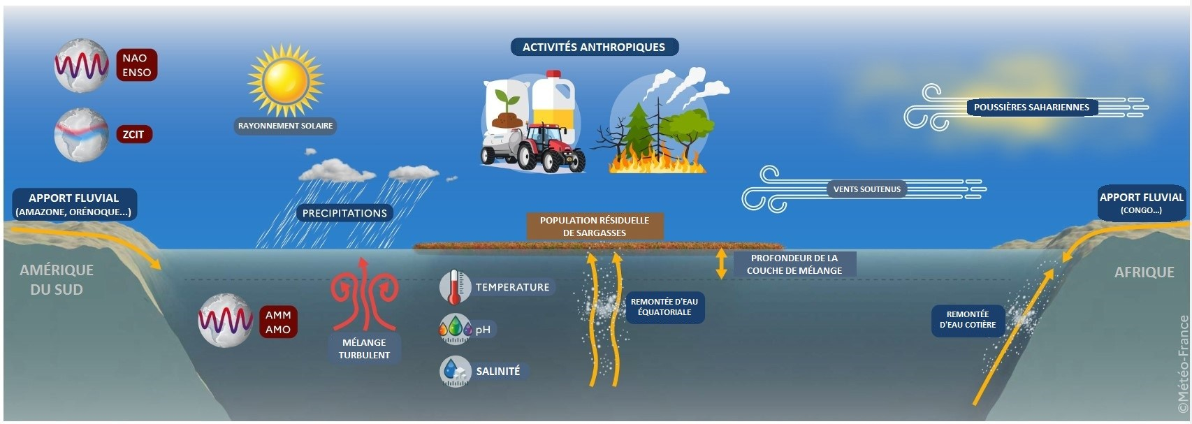 Différents facteurs possibles de variabilité saisonnière et interannuelle