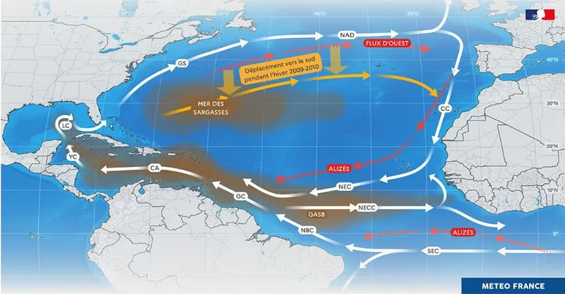 Modification des courants et des vents dans l'Atlantique Nord depuis 2011