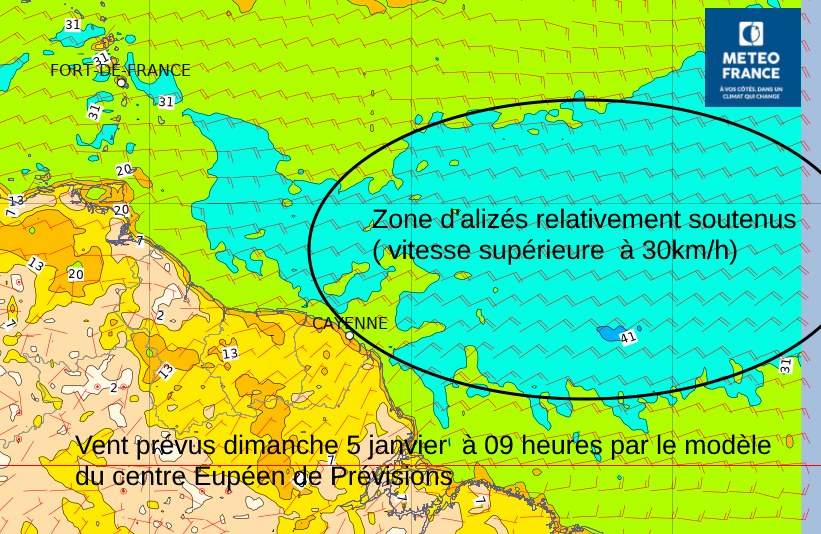 Carte des vents prévus dimanche matin par le modèle du Centre Européen de Prévisionss