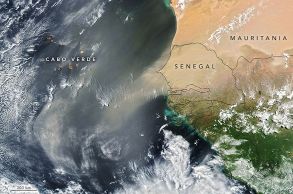 Image satellite du 04 Juin 2021 - (source : earthobservatory.nasa.gov)