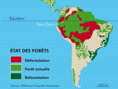 ​Carte du déboisement en Amazonie