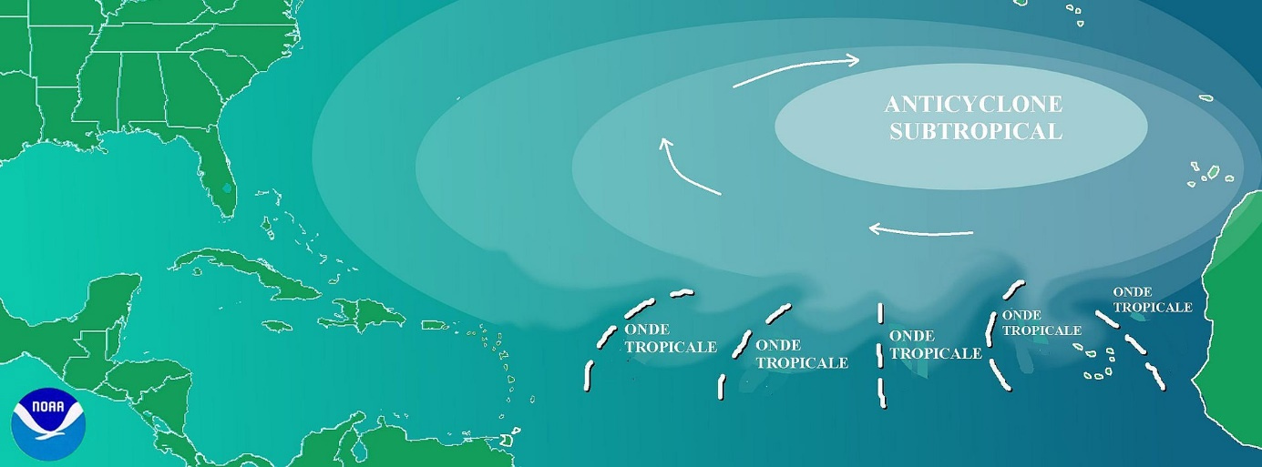 ​Naissance et trajet des ondes tropicales de l'Afrique vers l'arc antillais