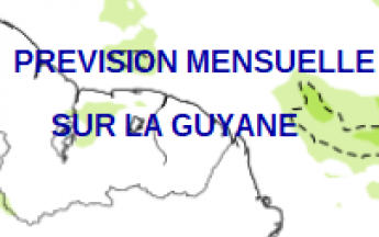 Prévision mensuelle pour la Guyane