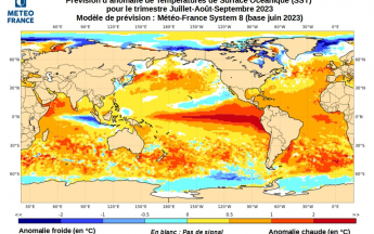 Carte d'anomalies de SST trimestre juillet-août-septembre 2023 : El Niño