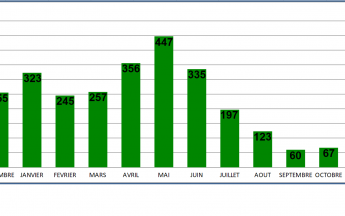 Pluviométrie moyenne mensuelle en Guyane montrant  une période un peu moins arrosée de février à mars