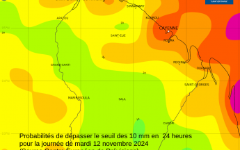 Probabilités de dépasser le seuil des 10mm en 24 heures pour la journée du 12 novembre  2024 (source centre Européen de Prévisions)