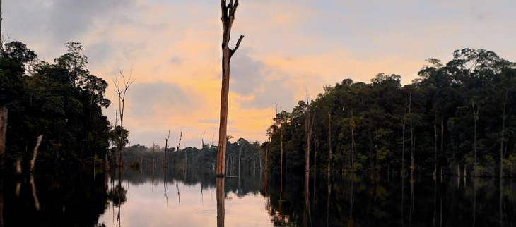 Le lac de Petit-Saut en Guyane