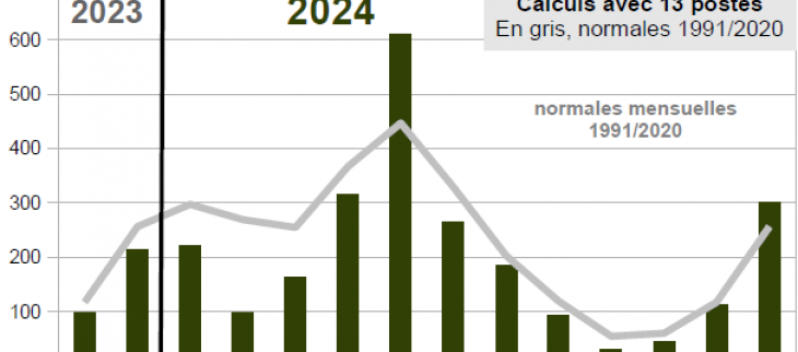 Graphe pluviométrie annuelle 2024