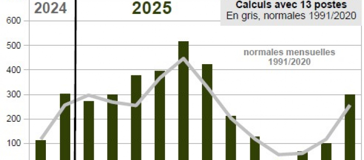 Graphe pluviométrie 2025