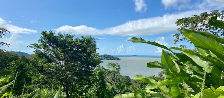 Point de vue sur le Rorota