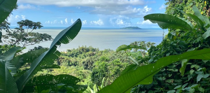 Vue sur l'océan depuis le Rorota