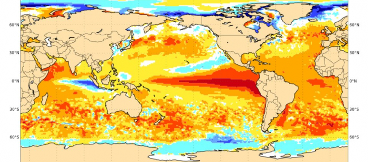 Carte d'anomalies de SST trimestre juillet-août-septembre 2023 : El Niño