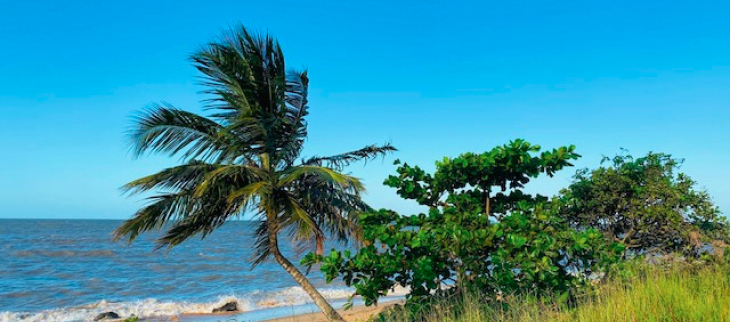 Plage des Salines sous le soleil