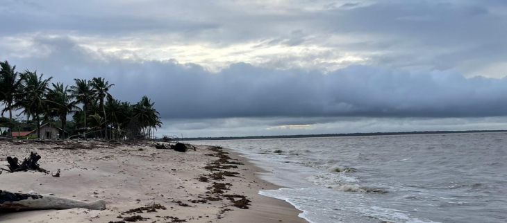 plage de Yalimapo plage de Yalimapo