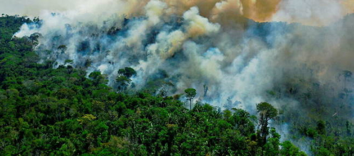 Un incendie progresse en lisière de forêt  en Amazonie