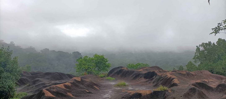 Savane Virginie sous la brume 